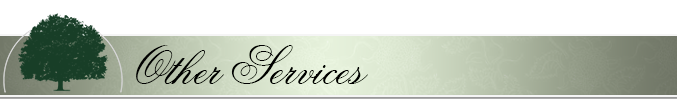 Other Services