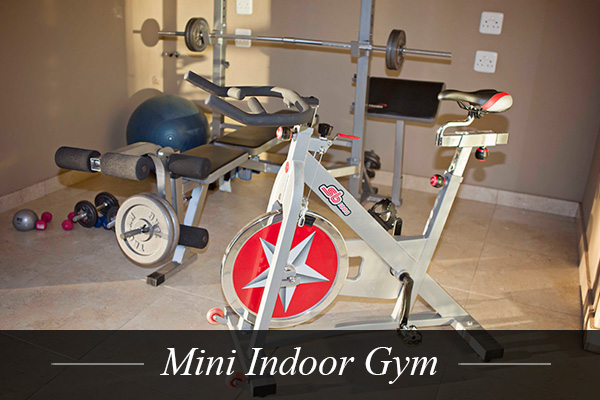 Mini Indoor Gym at Swanlake Luxury Accommodation at Magersfontein Memorial Golf Estate near Kimberley, Northern Cape